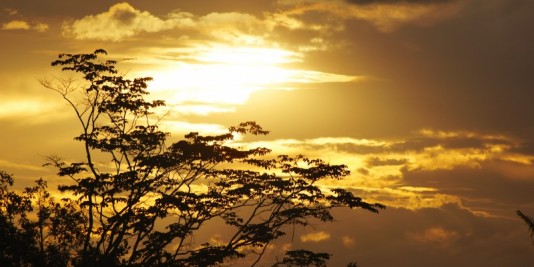 Por do Sol - Viva a vida